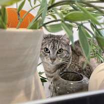 Thumbnail photo of Meredith #3