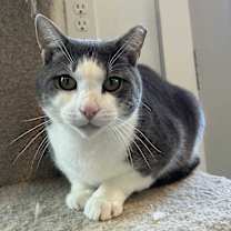 Thumbnail photo of Hugo #3