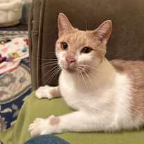 Thumbnail photo of Nola #2