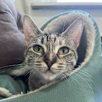 Thumbnail photo of Lucy #2