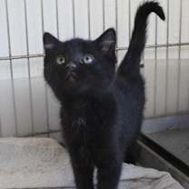 Thumbnail photo of Lucille #3