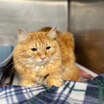 Thumbnail photo of Jessie #3