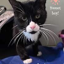 Thumbnail photo of JAYDEN #1