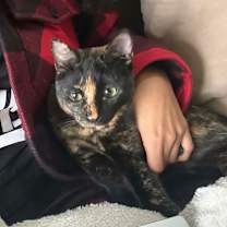 Thumbnail photo of Gemma #2