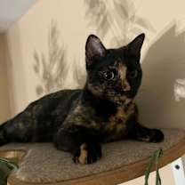 Thumbnail photo of Gemma #3