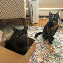 Thumbnail photo of Gemma #4