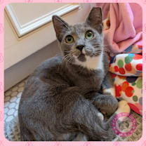 Thumbnail photo of Jade #4