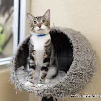 Thumbnail photo of Hunter #1