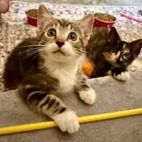 Thumbnail photo of Hunter #2