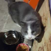 Thumbnail photo of Feldspar #2