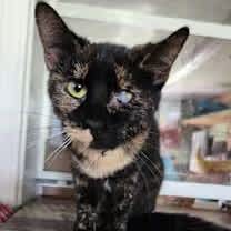 Thumbnail photo of Babs #3