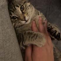 Thumbnail photo of Timmy #2