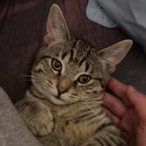 Thumbnail photo of Timmy #4