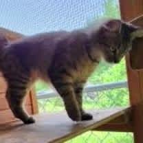 Thumbnail photo of Ruthie #4