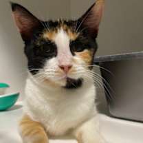 Thumbnail photo of Amy #1