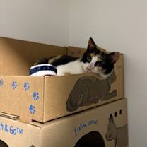 Thumbnail photo of Amy #2