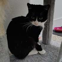 Thumbnail photo of Delzie #1