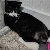 Thumbnail photo of Delzie #2