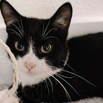 Thumbnail photo of Delzie #3