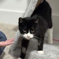 Thumbnail photo of Delzie #4