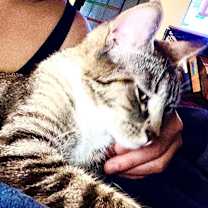 Thumbnail photo of Nena #2