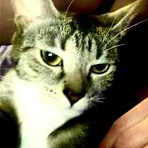 Thumbnail photo of Nena #3