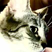 Thumbnail photo of Nena #4