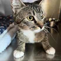 Thumbnail photo of Tilly Mae #2