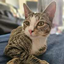 Thumbnail photo of Francois #1