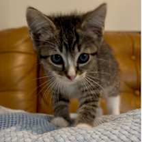 Thumbnail photo of Tina #3