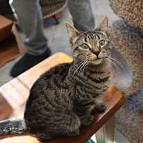 Thumbnail photo of T.J. #1