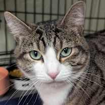 Thumbnail photo of Faye #1