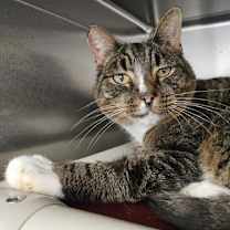 Thumbnail photo of Geralt #2