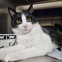 Thumbnail photo of Maisie #1