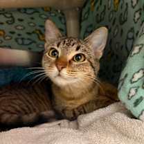 Thumbnail photo of Lucy #1