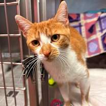 Thumbnail photo of Holly #1