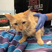 Thumbnail photo of Professor Snuggle Pants #2