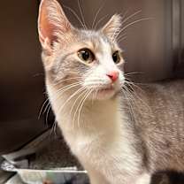 Thumbnail photo of Mr. Bean #1