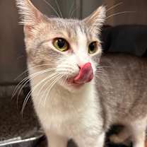 Thumbnail photo of Mr. Bean #3