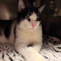 Thumbnail photo of Marty #1