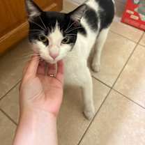 Thumbnail photo of Marty #2