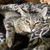 Thumbnail photo of Prue #2