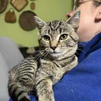 Thumbnail photo of Paige #1