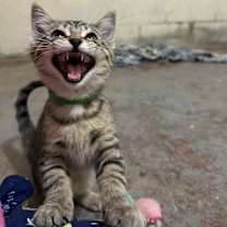 Thumbnail photo of Paige #3