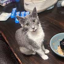 Thumbnail photo of Lilith #4