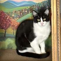 Thumbnail photo of Nile #3