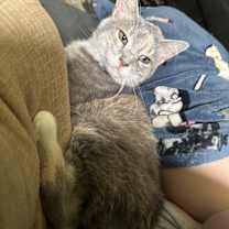 Thumbnail photo of Nellie #1