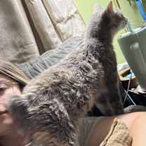 Thumbnail photo of Nellie #3