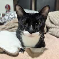 Thumbnail photo of Gloria #1