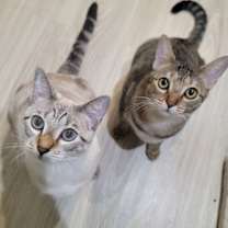 Thumbnail photo of Priya #3